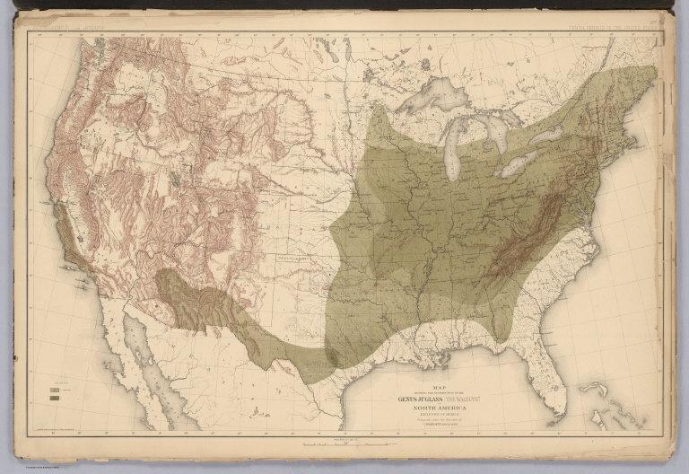 Distribution of the Genus Juglans [The Walnuts.] in North America.