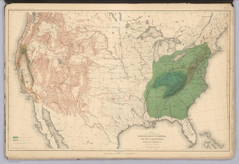 Distribution of Liriodendron Tulipifera and Pinus Lambertiana in North America.