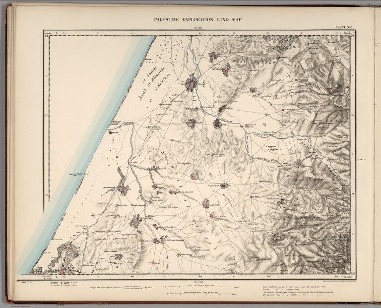 Sheet XVI. Palestine Exploration Map.