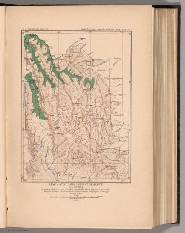 Plate XIV. Lewis and Clark Forest Reserve, Montana, Showing Distribution of Forest Trees.