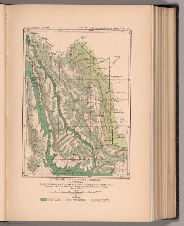 Plate XXVII. Lewis and Clark Forest Reserve, Montana, Showing distribution of forest trees.