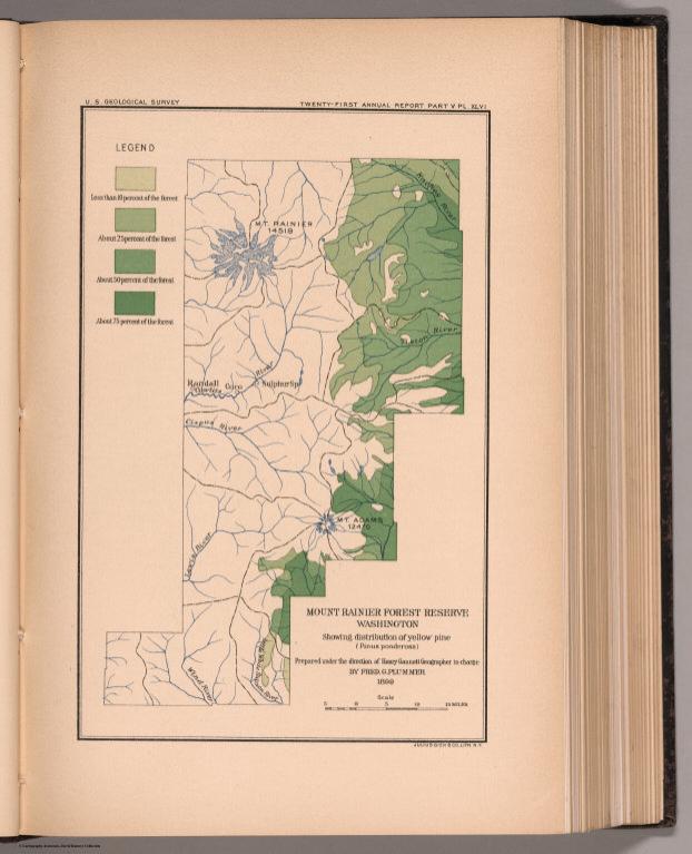 Plate XLVI. Mount Rainier Forest Reserve, Washington, Showing distribution of yellow pine (Pinus ponderosa).