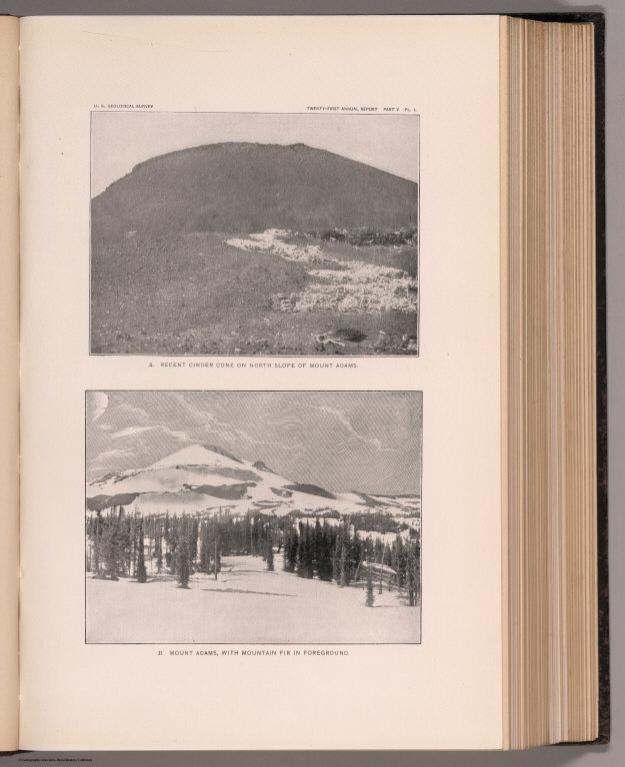 View: Plate L. Recent Cinder Cone, Mount Adams. Mount Adams, with Mountain Fir in Foreground.