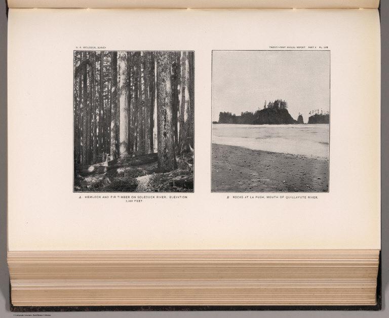 View: LVII. Hemlock and Fir Timber on Soleduck River. Rocks at La Push, Mouth of Quillayute.