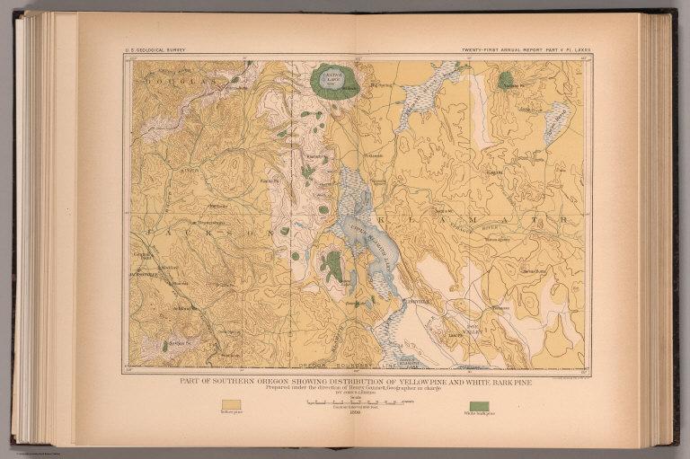 Plate LXXXII. Part of Southern Oregon Showing Distribution of Yellow Pine and White Bark Pine.