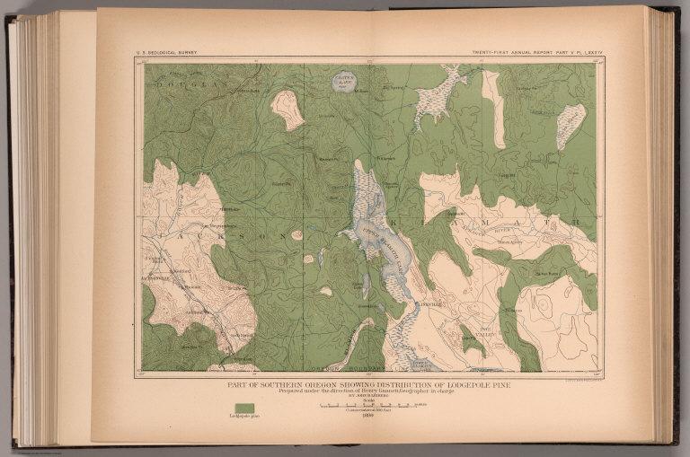 Plate LXXXIV. Part of Southern Oregon Showing Distribution of Lodgepole Pine.