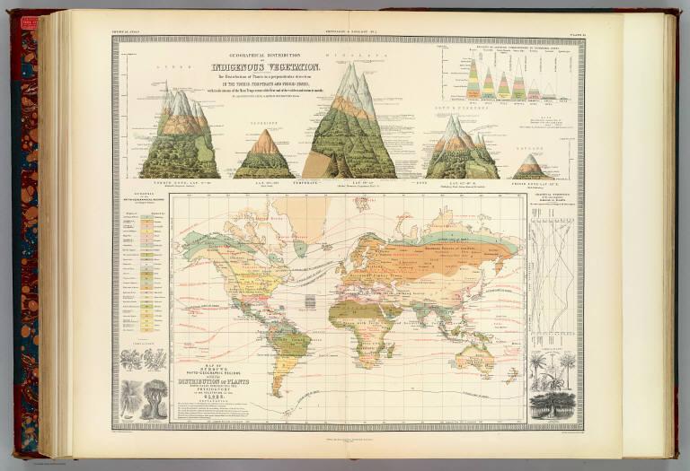 Distribution: vegetation.