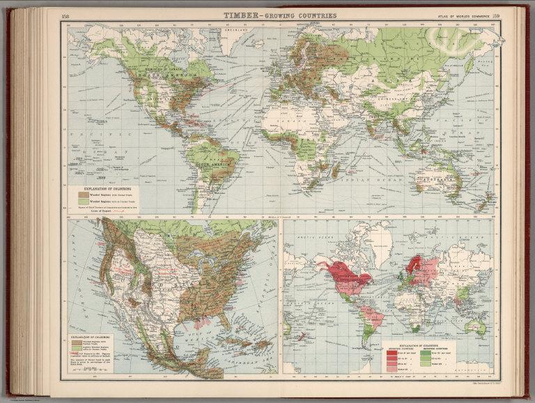 Timber - Growing Countries