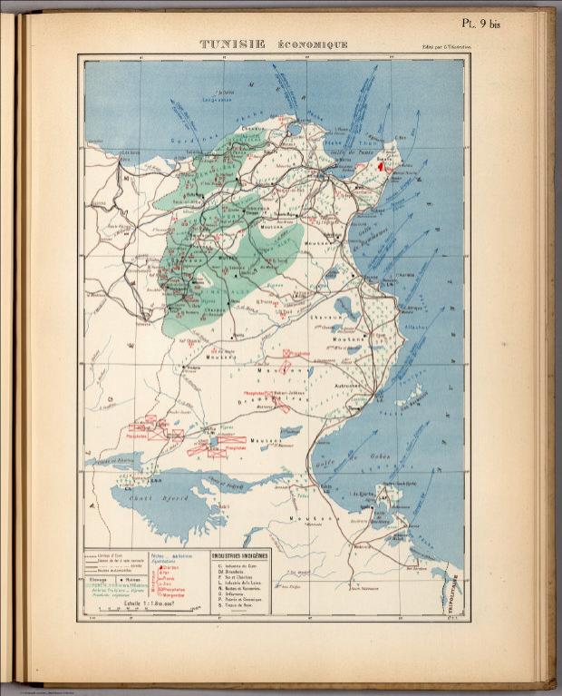 Planche 9 bis. Tunisie Economique.