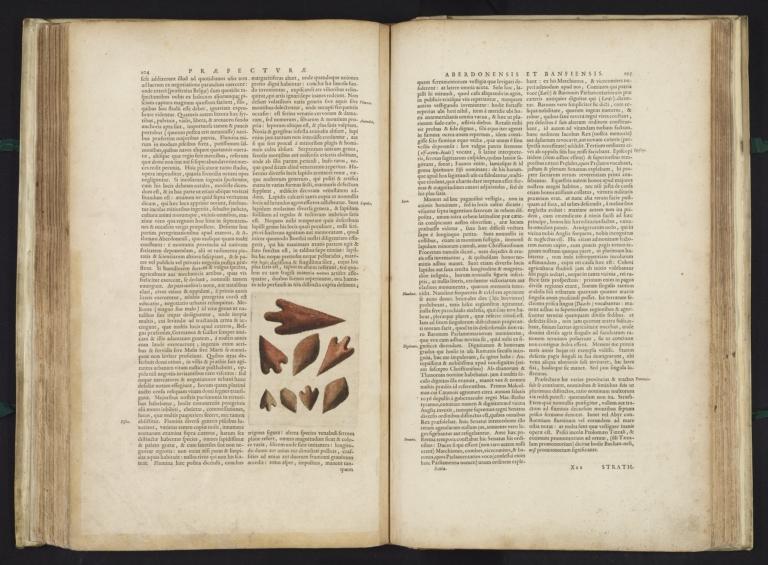 [page of text with illustration (arrowheads)]