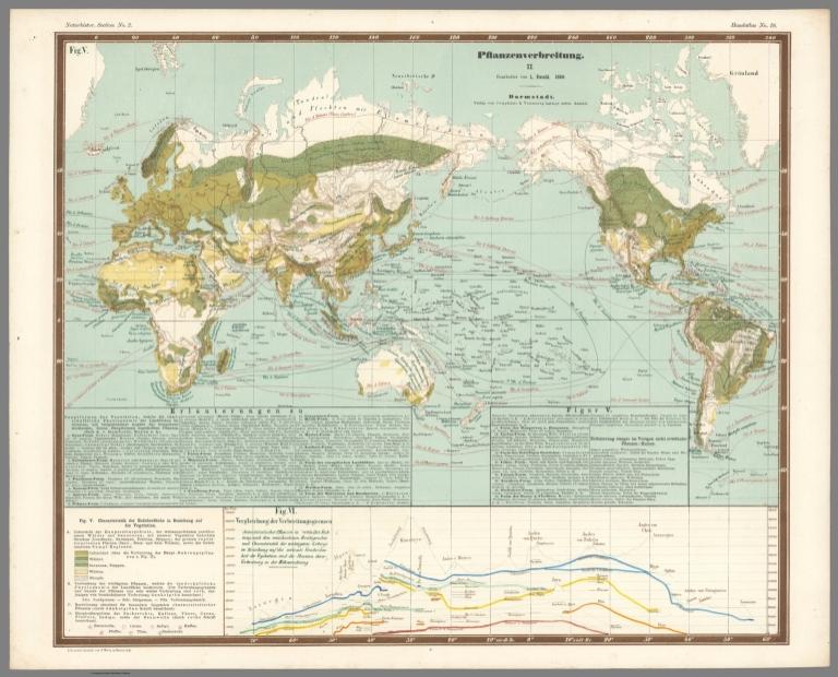 No. 18. Pflanzenverbreitung. II.