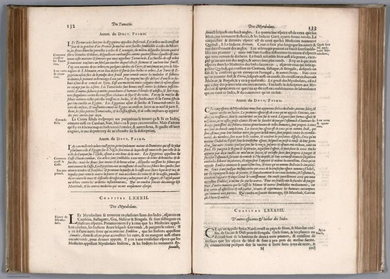 Text: Histoire de la Navigation de Iean Hugues de Linscot ... Indes Orientales (continued).