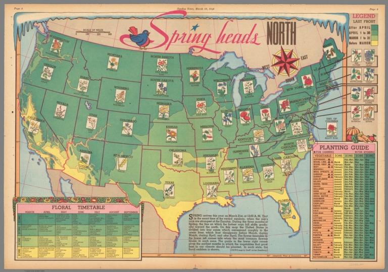 Spring Heads North. March 10, 1946.