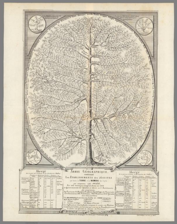 Arbre Geographique