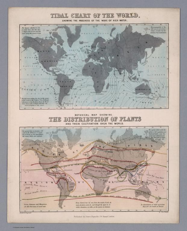 Tidal chart of the world. Botanical map showing the distribution of plants