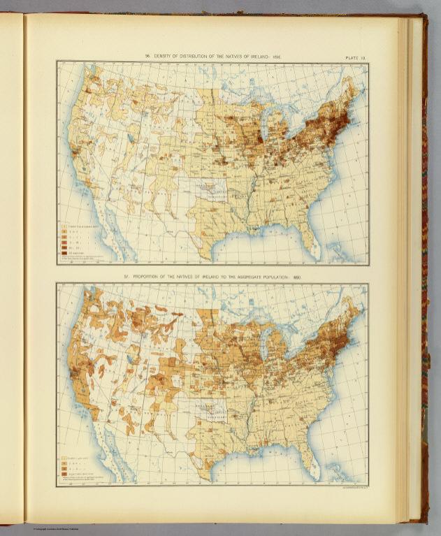 19. Natives of Ireland 1890.