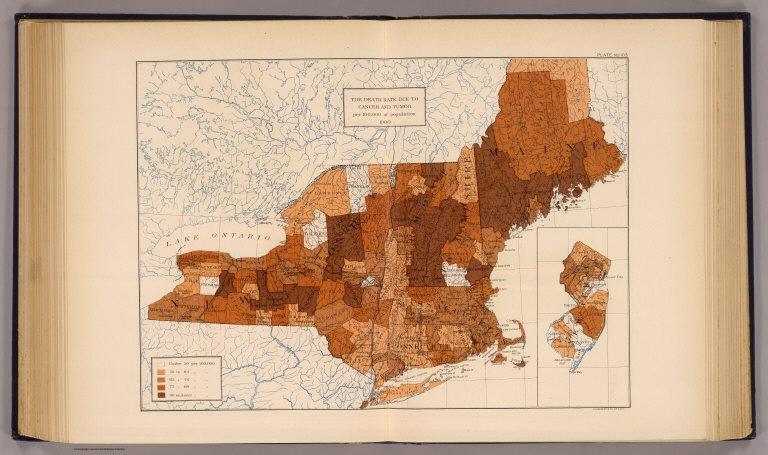 103. Cancer, tumor NY, NJ, New England.