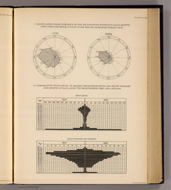 123. Deaths diseases respiratory system, bronchitis, heart disease, dropsy 1900, 1890.