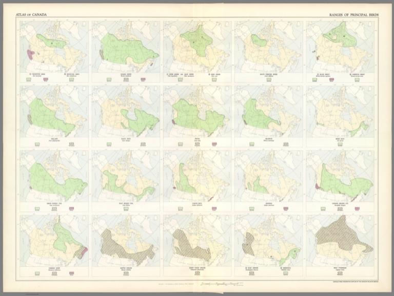 (43) Ranges of principal birds.