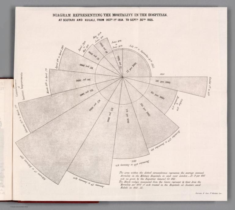 Diagram Representing the Mortality in the Hospitals.