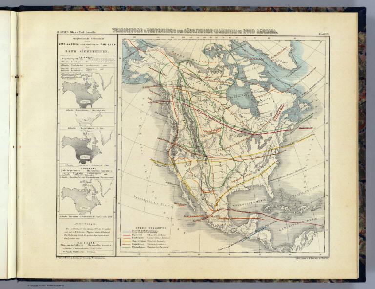 Verbreitung u. vertheilung der Saugethiere (Mammalia) in Nord Amerika.