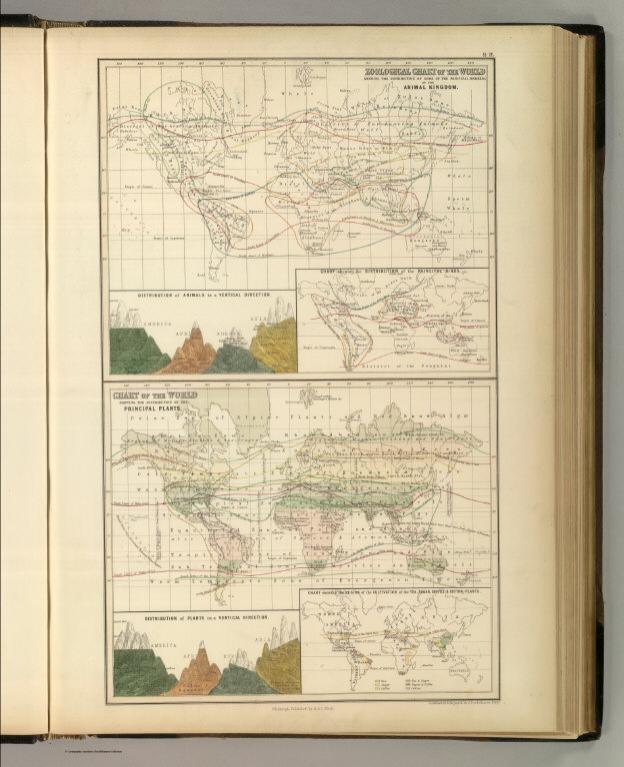 Zoological Chart of the World. Distribution of the Principal Plants.